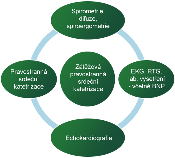 Zátěžová pravostranná srdeční katetrizace - graf