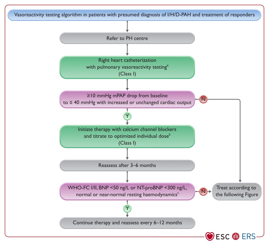 Algoritmus testování vazoreaktivity u pacientů s předpokládanou diagnózou I/H/D-PAH a léčba respondérů